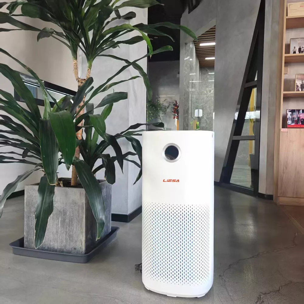 Timer Function Purifier